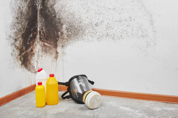 Water Damage Restoration in Hot Springs Village, AR