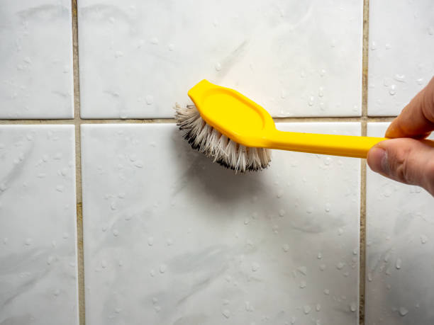 Best Home Mold Removal  in Hot Springs Village, AR